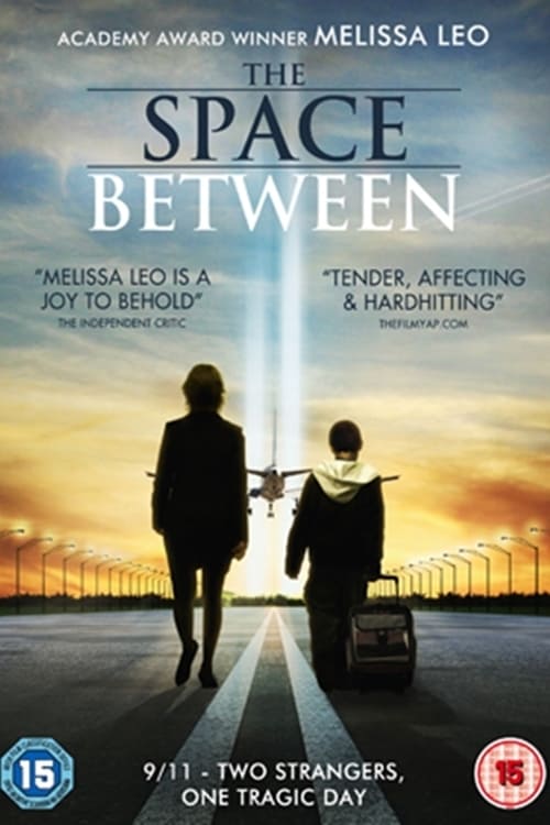 The Space Between (2011)