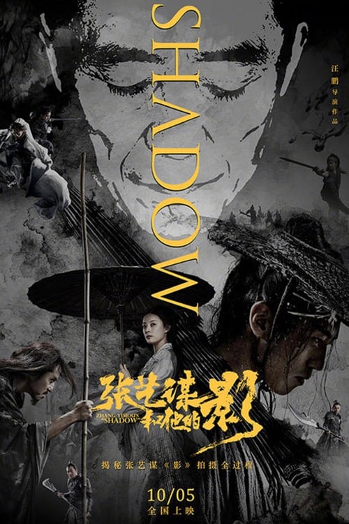 Zhang Yimou's "Shadow" (张艺谋和他的影) (2018)