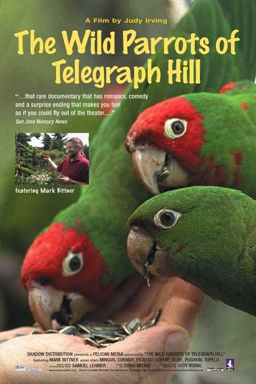 The Wild Parrots of Telegraph Hill (2003)