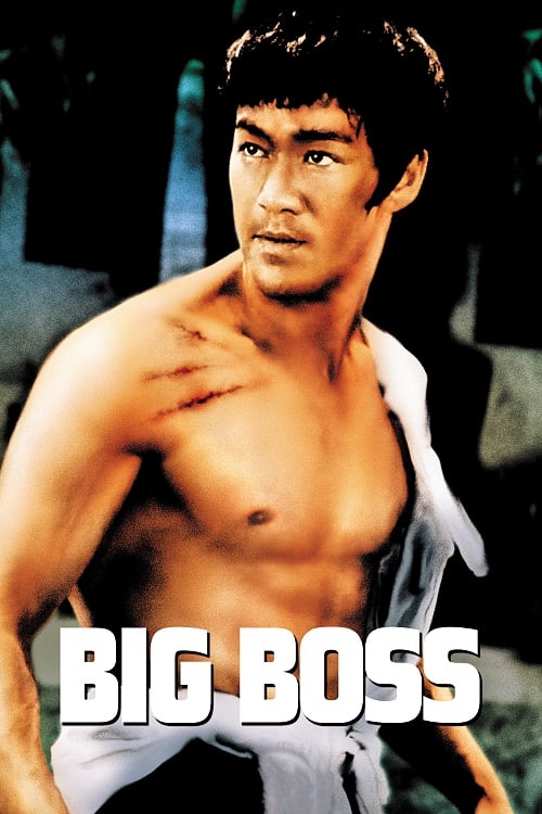 The Big Boss (唐山大兄) (1971)