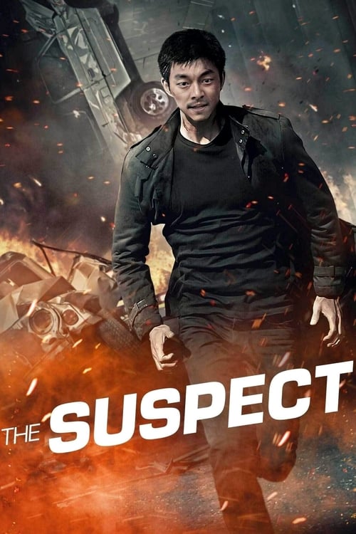 The Suspect (용의자) (2013)