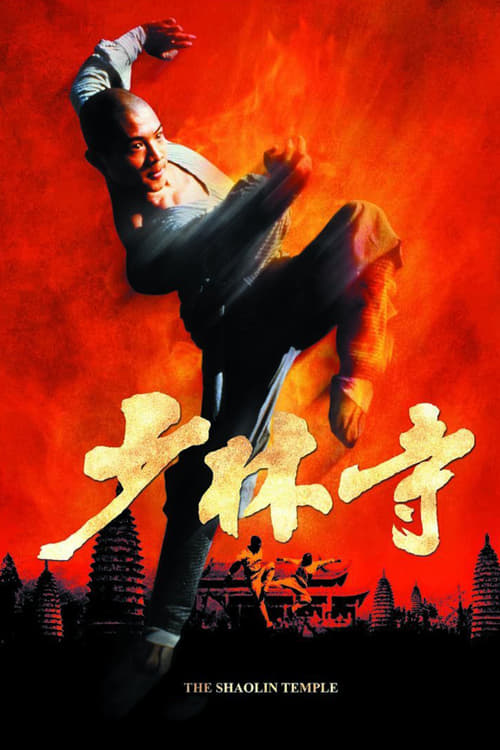 Shaolin Temple (少林寺) (1982)
