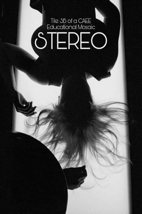 Stereo (Tile 3B of a CAEE Educational Mosaic) (1969)