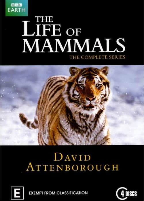 The Life of Mammals (2002)