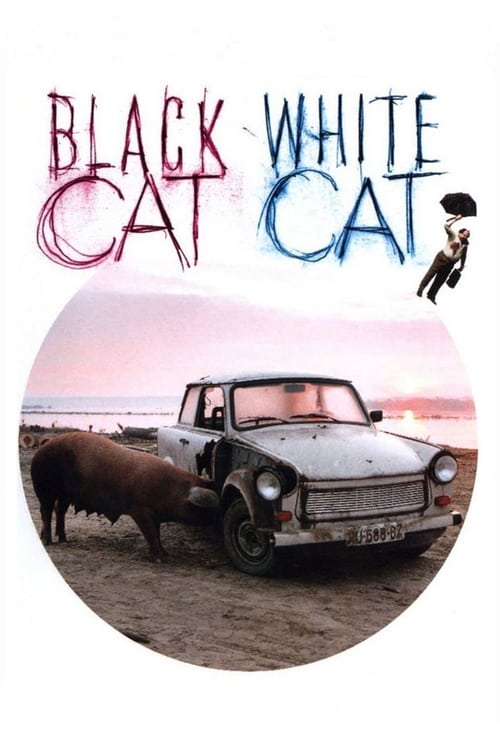 Black Cat, White Cat (Crna mačka, beli mačor) (1998)