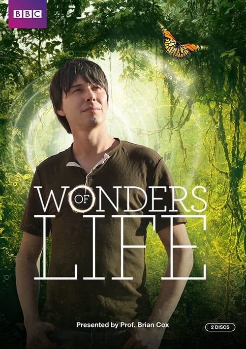 Wonders of Life (2013)