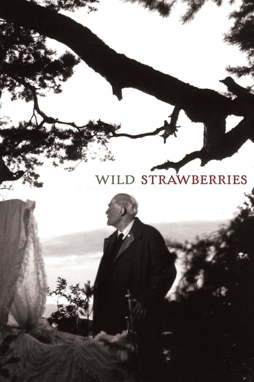 Wild Strawberries (Smultronstället) (1957)