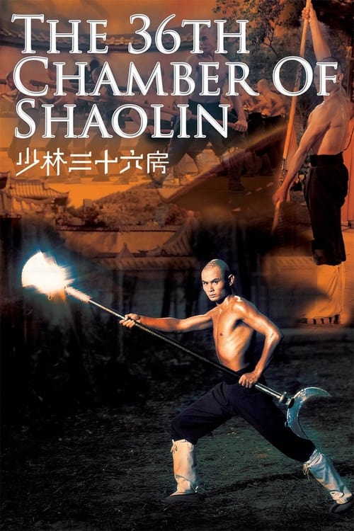 The 36th Chamber of Shaolin (少林三十六房) (1978)