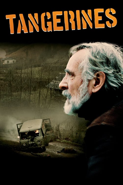 Tangerines (Mandariinid) (2013)