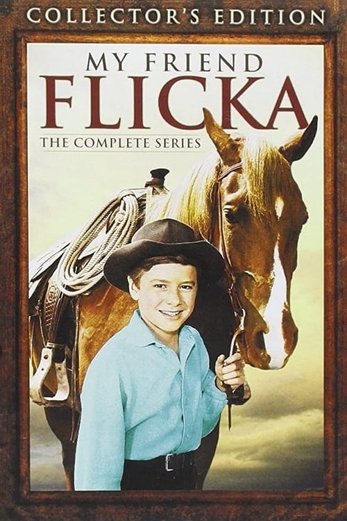 My Friend Flicka (1956)