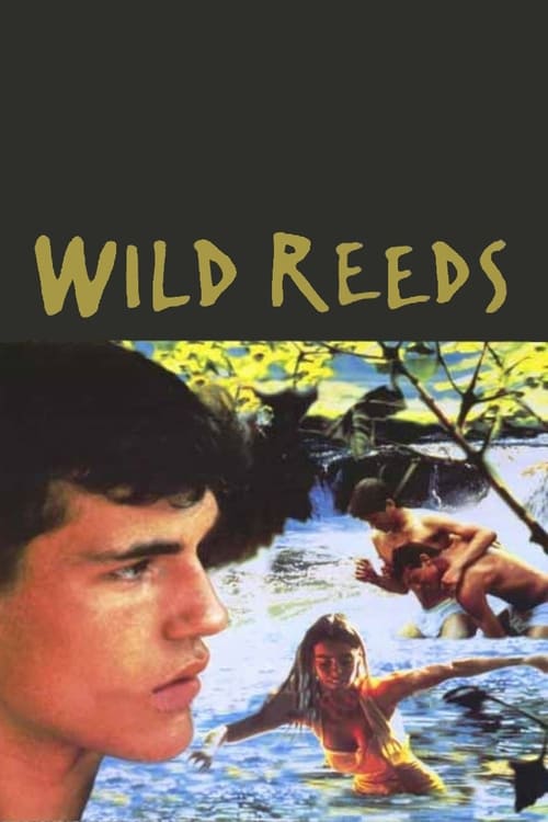 Wild Reeds (Les Roseaux sauvages) (1994)