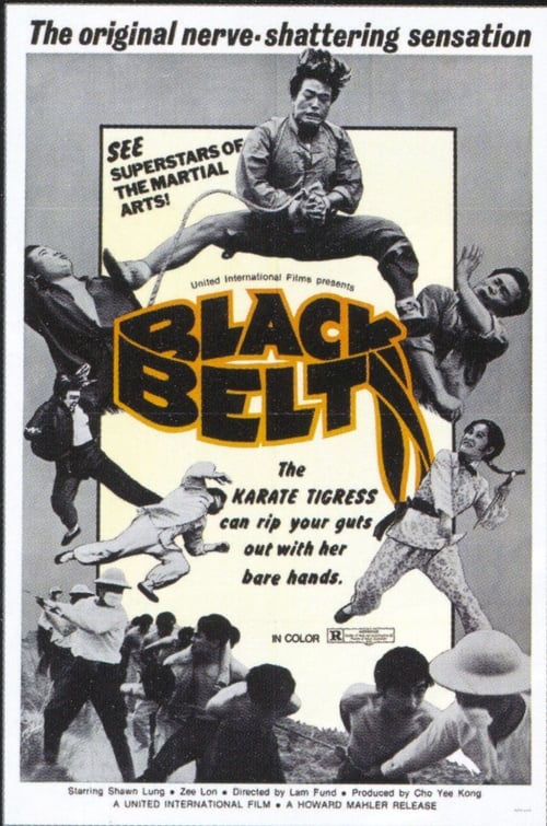Black Belt (1973)
