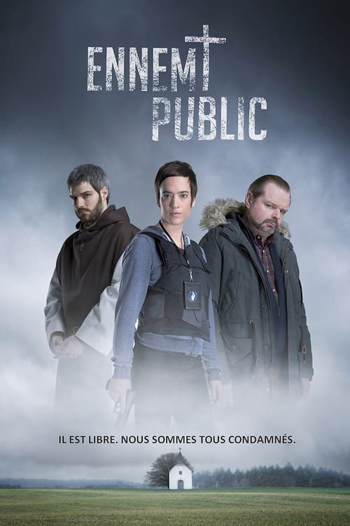 Public Enemy (Ennemi public) (2016)