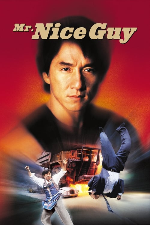 Mr. Nice Guy (一個好人) (1997)