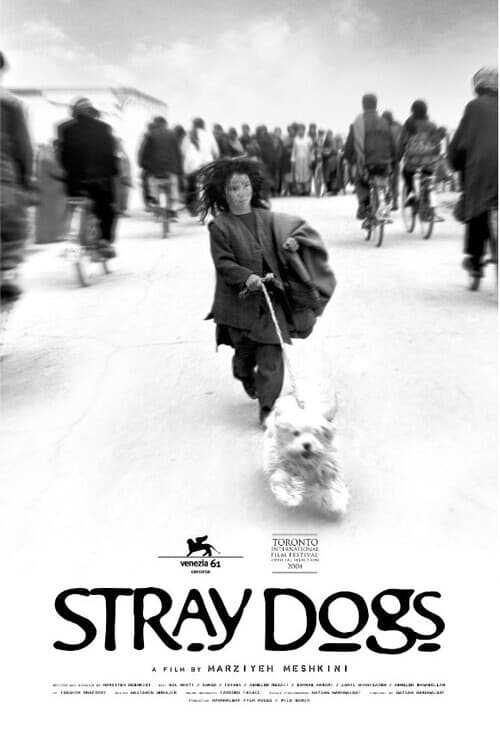 Stray Dogs (سگهای ولگرد) (2004)