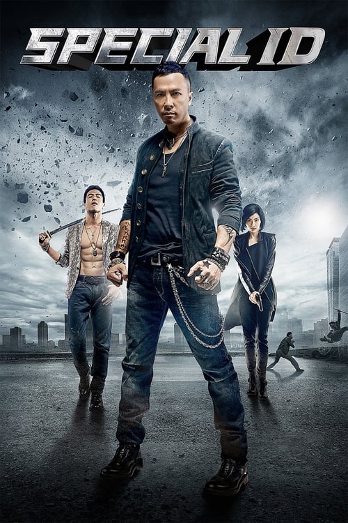 Special ID (特殊身份) (2013)