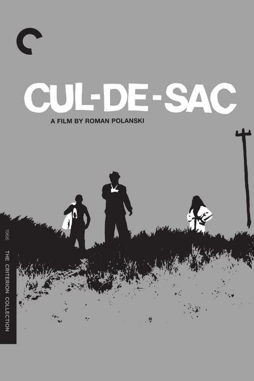 Cul-de-sac (1966)