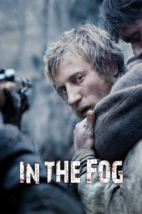In the Fog (2012)