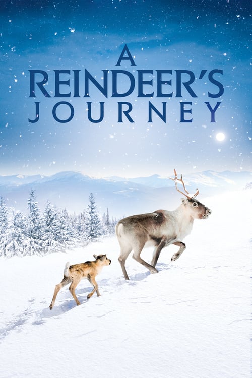 A Reindeer's Journey (Aïlo : Une odyssée en Laponie) (2018)