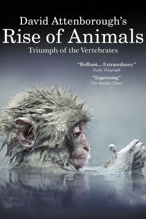 David Attenborough's Rise of Animals: Triumph of the Vertebrates (2013)