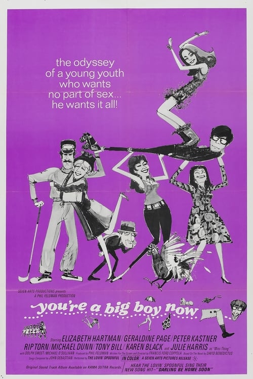 You're a Big Boy Now (1966)