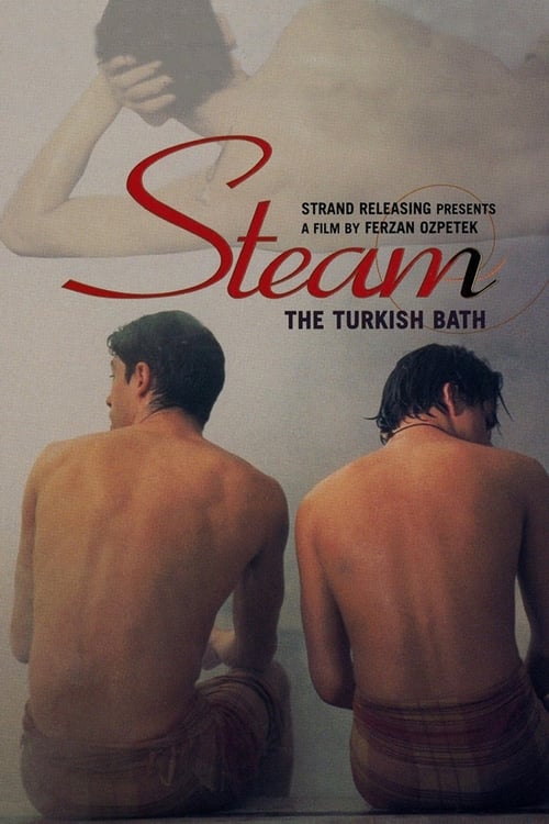 Steam: The Turkish Bath (Hamam) (1997)
