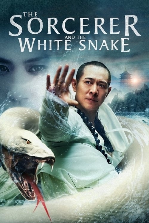 The Sorcerer and the White Snake (白蛇传说) (2011)