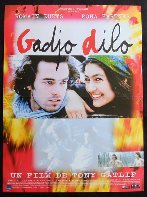 The Crazy Stranger (Gadjo Dilo) (1997)