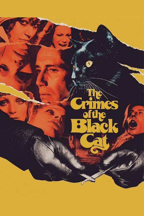 The Crimes of the Black Cat (Sette scialli di seta gialla) (1972)