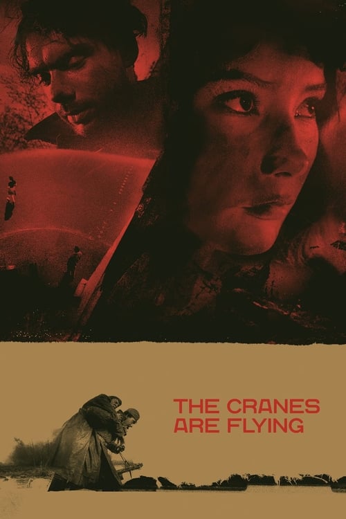The Cranes Are Flying (Летят журавли) (1957)