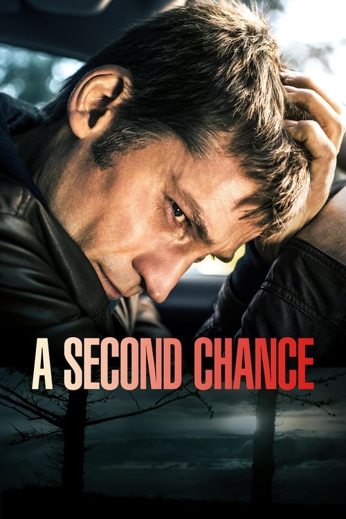 A Second Chance (En chance til) (2014)