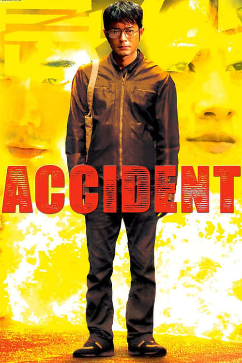 Accident (意外) (2009)