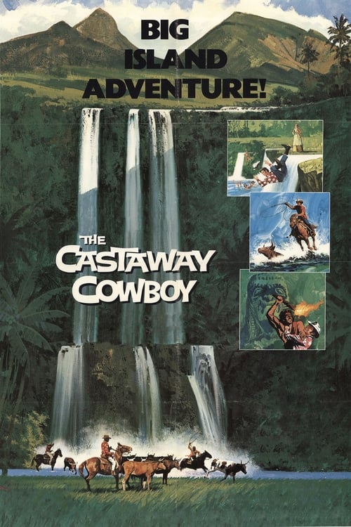 The Castaway Cowboy (1974)