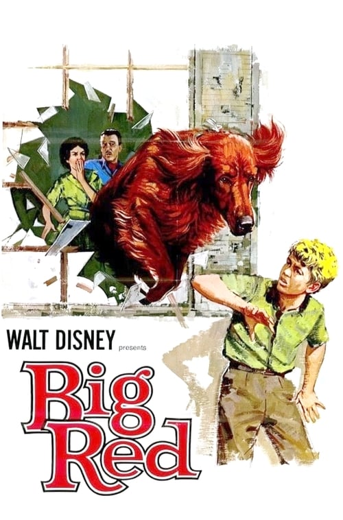 Big Red (1962)