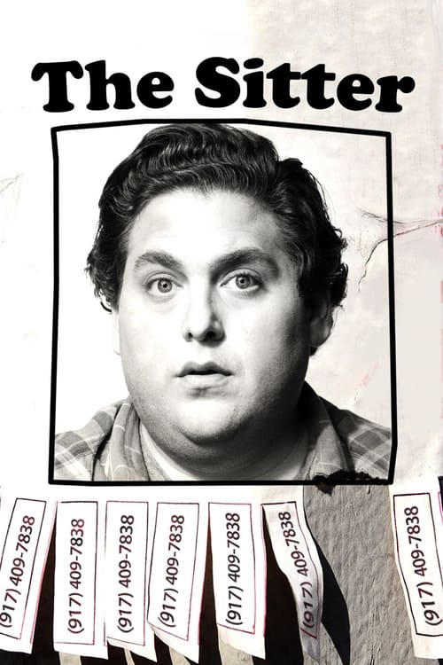 The Sitter (2011)