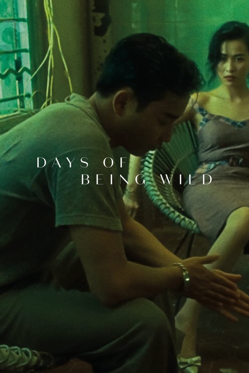 Days of Being Wild (阿飛正傳) (1990)