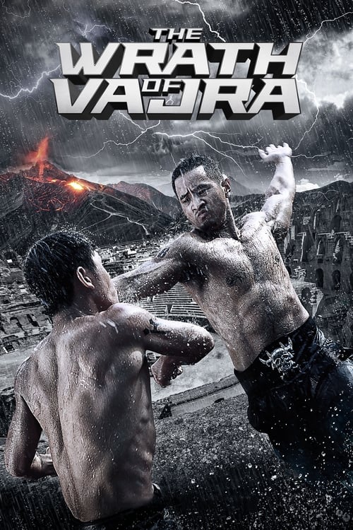 The Wrath Of Vajra (金刚王) (2013)