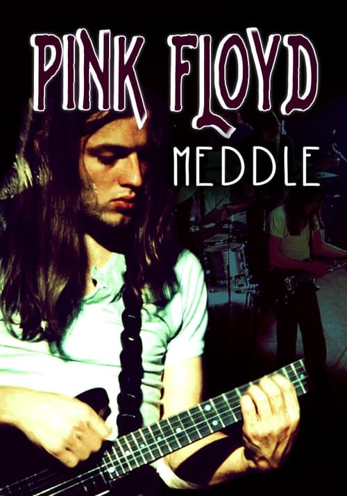 Rock Milestones: Pink Floyd: Meddle
