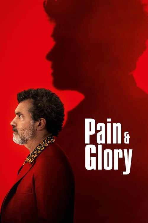 Pain and Glory (Dolor y gloria) (2019)