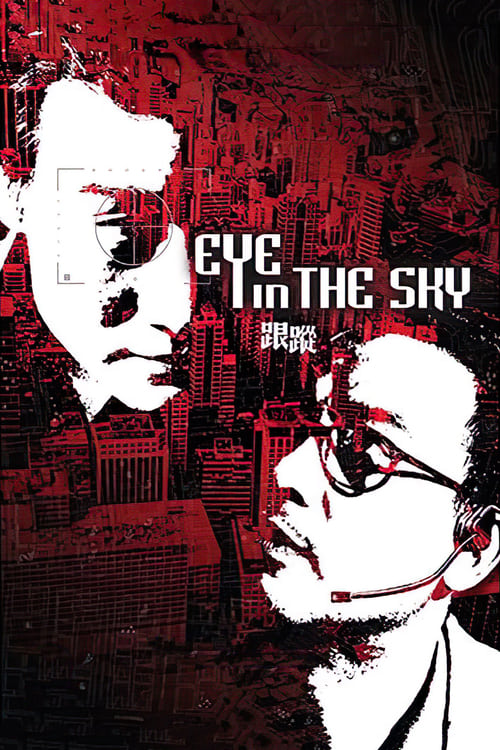 Eye in the Sky (跟蹤) (2007)