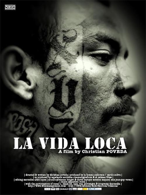 The Crazy Life (La vida loca) (2008)