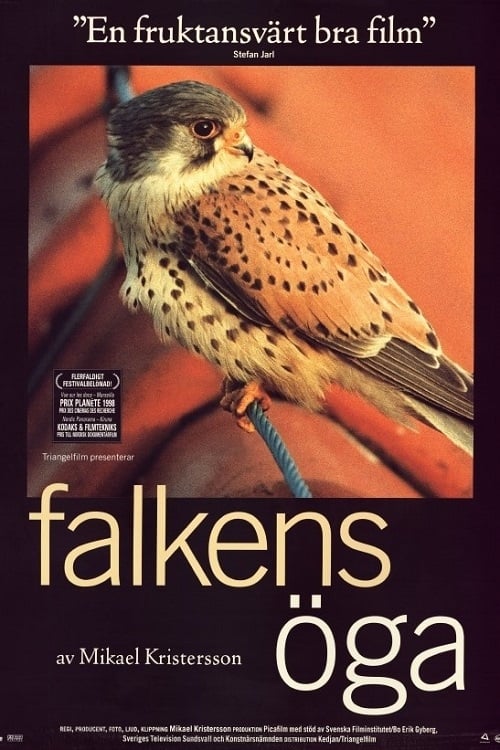 Kestrel's Eye (Falkens öga) (1998)