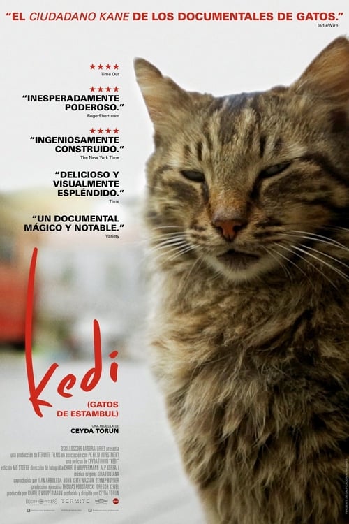 Kedi (2017)