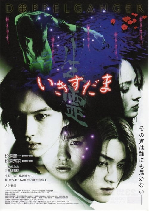 Shadow of the Wraith (いきすだま 生霊) (2001)