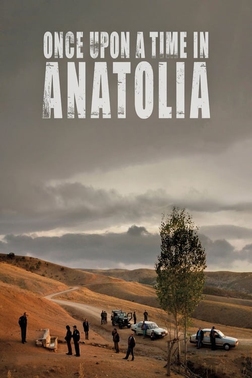Once Upon a Time in Anatolia (Bir Zamanlar Anadolu'da) (2011)