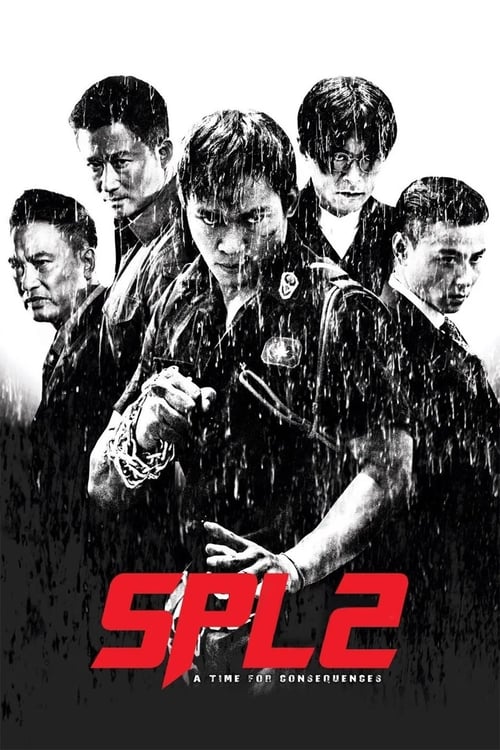 Kill Zone 2 (殺破狼2) (2015)