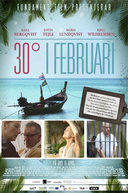 30 Degrees in February (30 grader i februari) (2012)