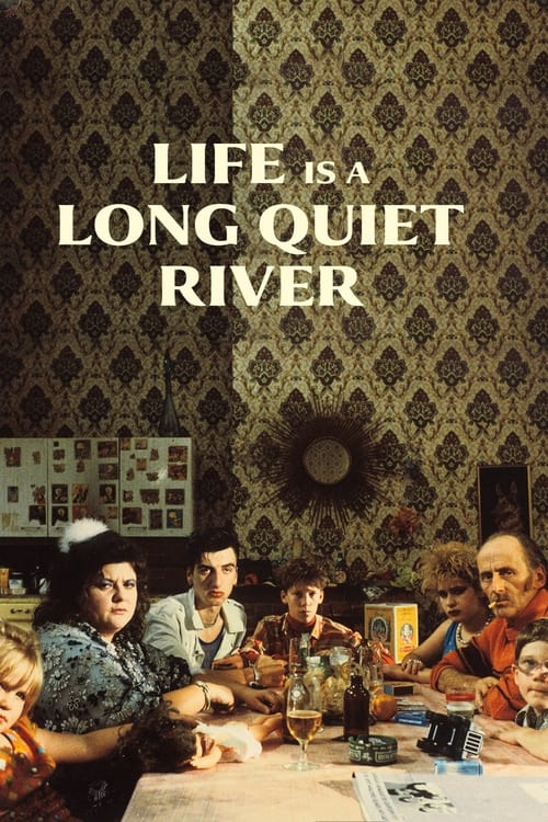 Life Is a Long Quiet River (La vie est un long fleuve tranquille) (1988)