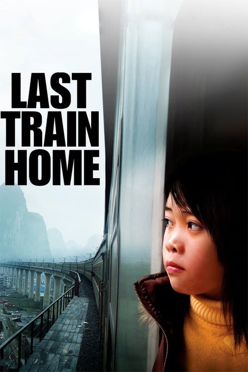 Last Train Home (归途列车) (2009)