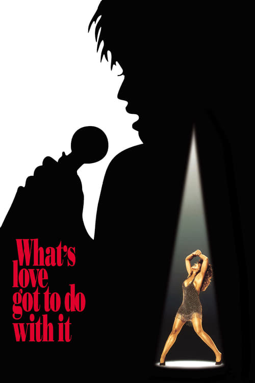 What's Love Got To Do With It (1993)